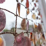 Watersedge Retreat, Views, Sunsets, Dogs Welcome Sandside (Beetham)