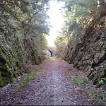 Vakantiehuis Watersedge Retreat, Views, Sunsets, Dogs Welcome *