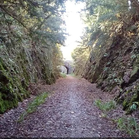 Watersedge Retreat, Views, Sunsets, Dogs Welcome Tatil Evi