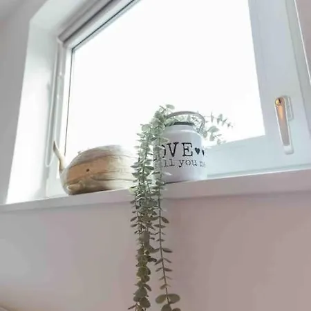 Tatil Evi Watersedge Retreat, Views, Sunsets, Dogs Welcome *